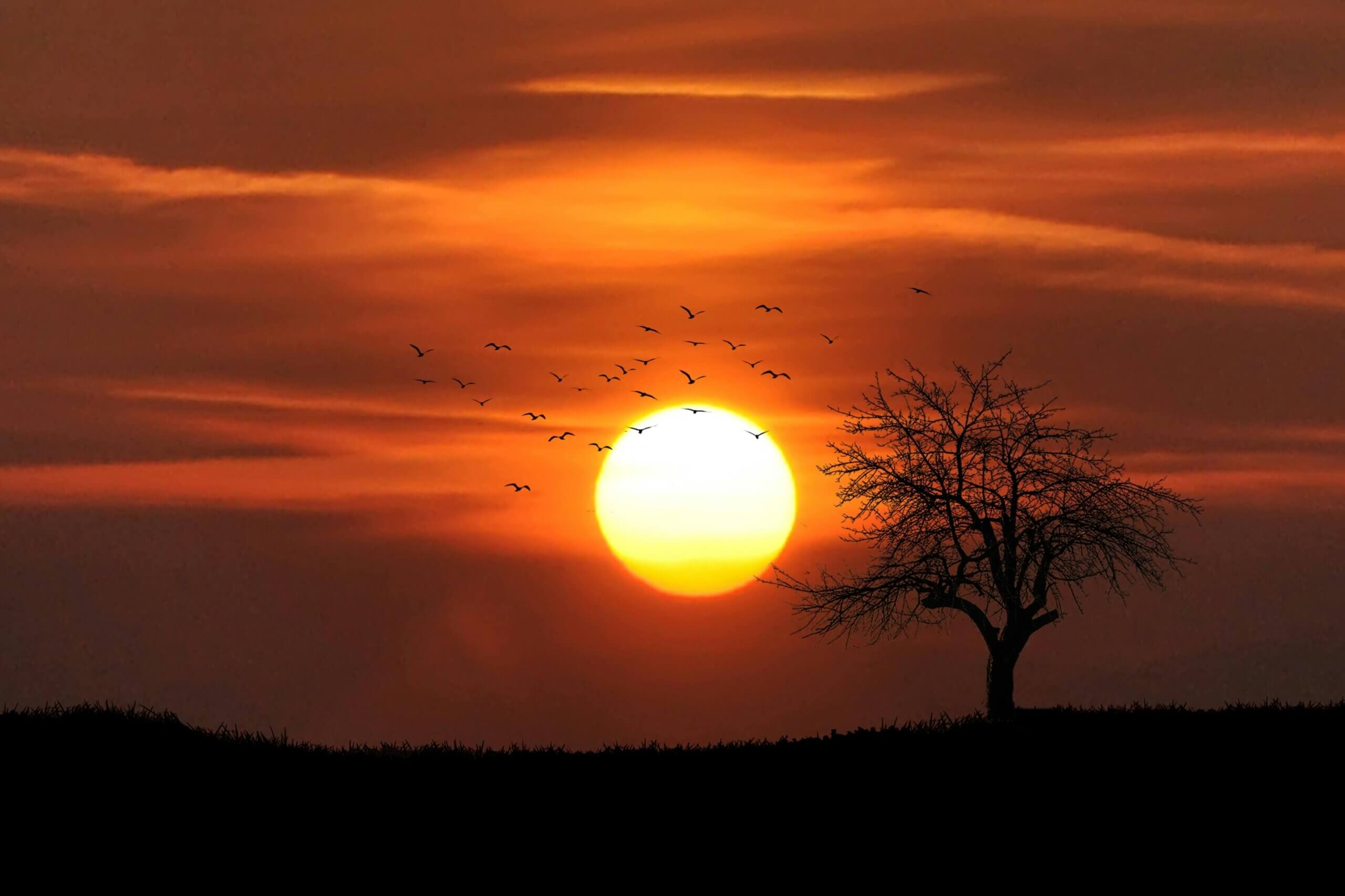 sonnenaufgang