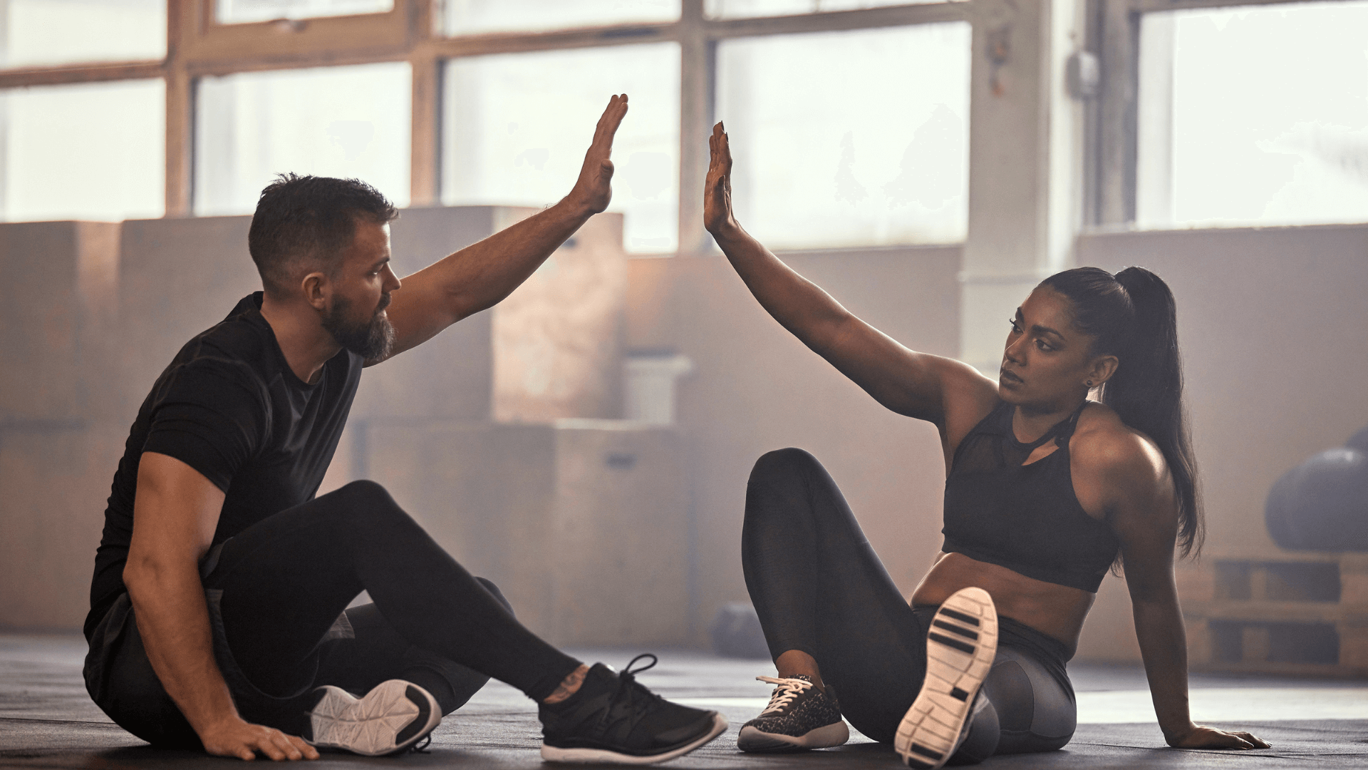 Asana Rebel Kosten - Preise in Deutschland
