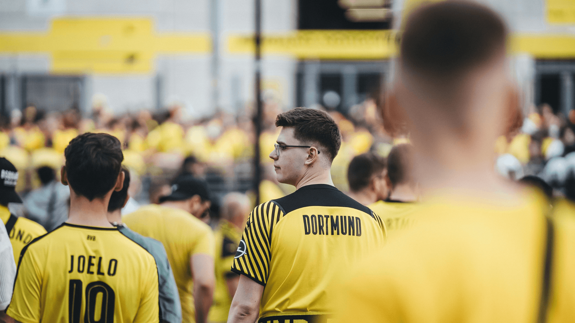BVB Mitgliedschaft Kosten: Alle Details im Überblick